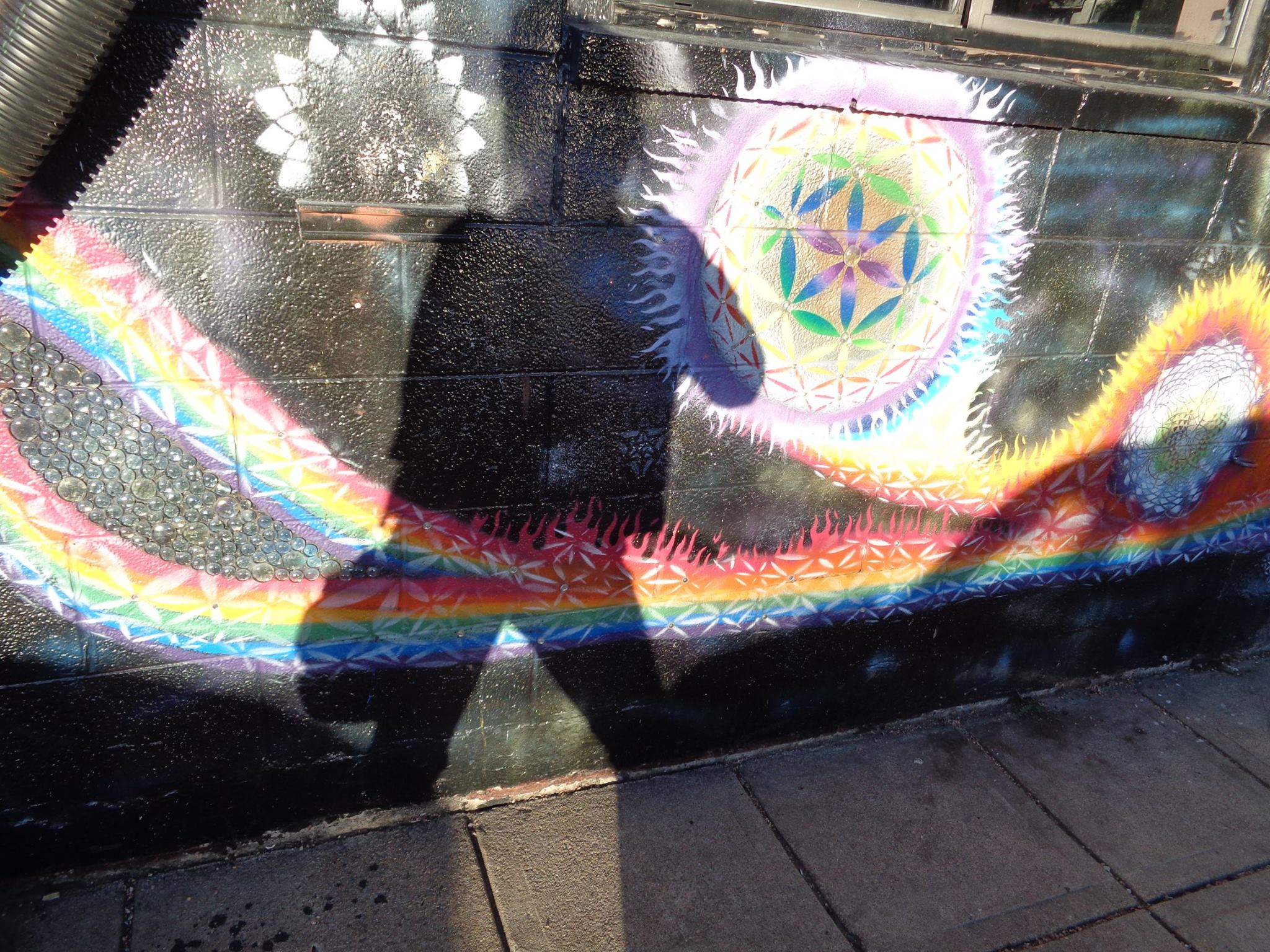 roseanna.bioshot.shapeshifter